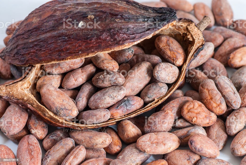 Detail Pictures Of Cocoa Beans Nomer 30