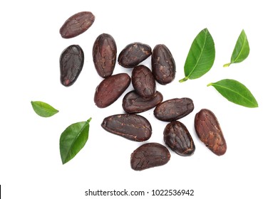 Detail Pictures Of Cocoa Beans Nomer 32