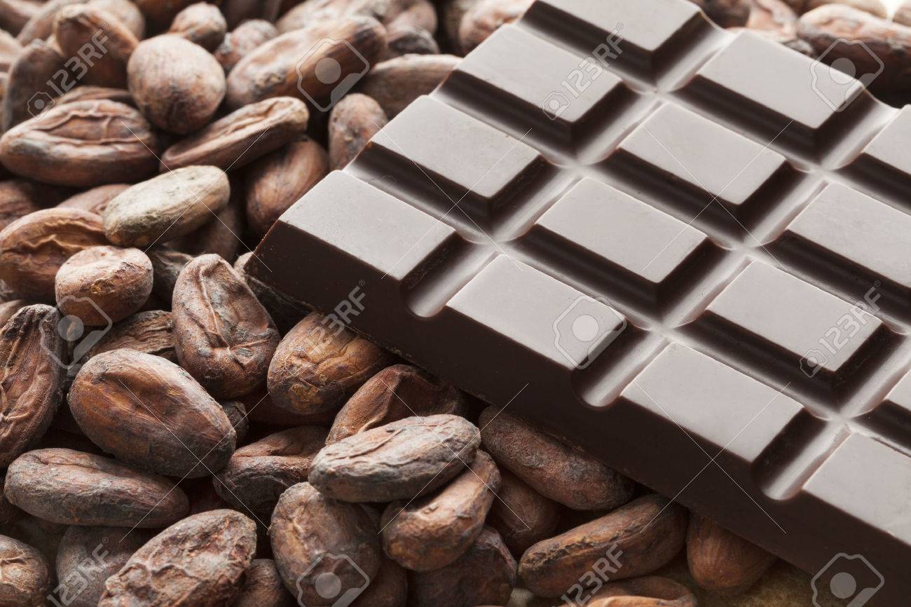 Detail Pictures Of Cocoa Beans Nomer 45