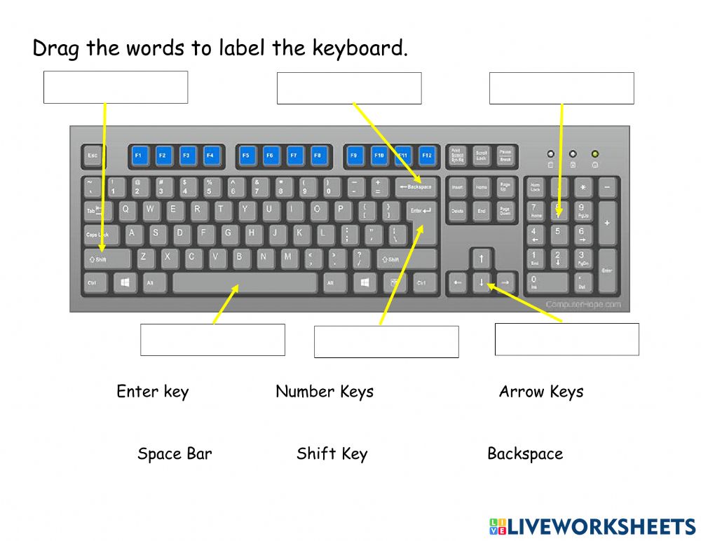 Detail Pictures Of Computer Keyboard Keys Nomer 30