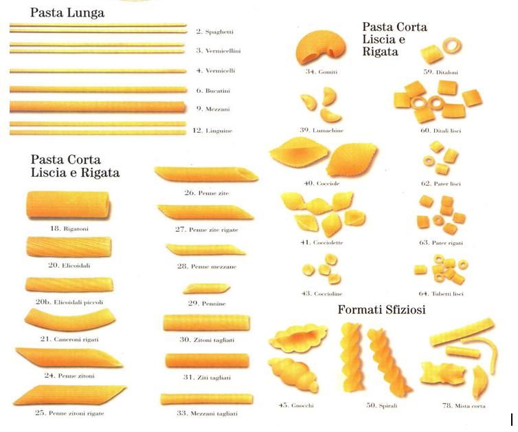 Detail Pictures Of Different Pastas Nomer 11