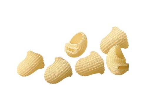 Detail Pictures Of Different Pastas Nomer 49