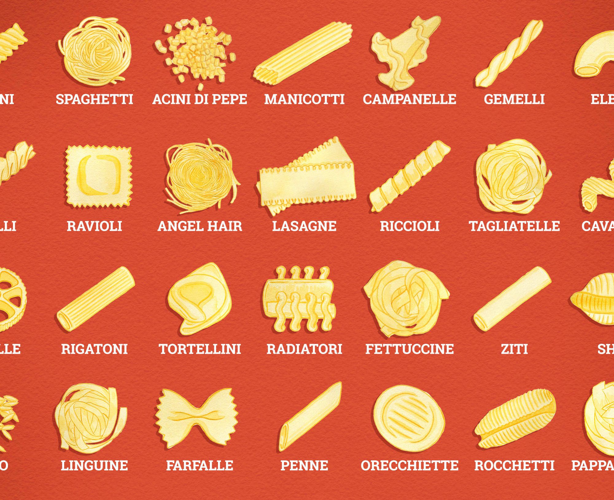 Detail Pictures Of Different Pastas Nomer 8
