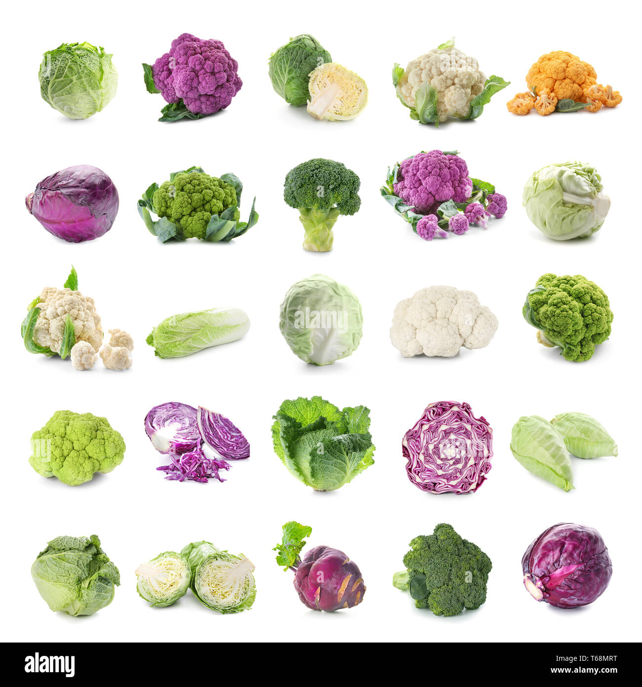 Detail Pictures Of Different Types Of Cabbage Nomer 15