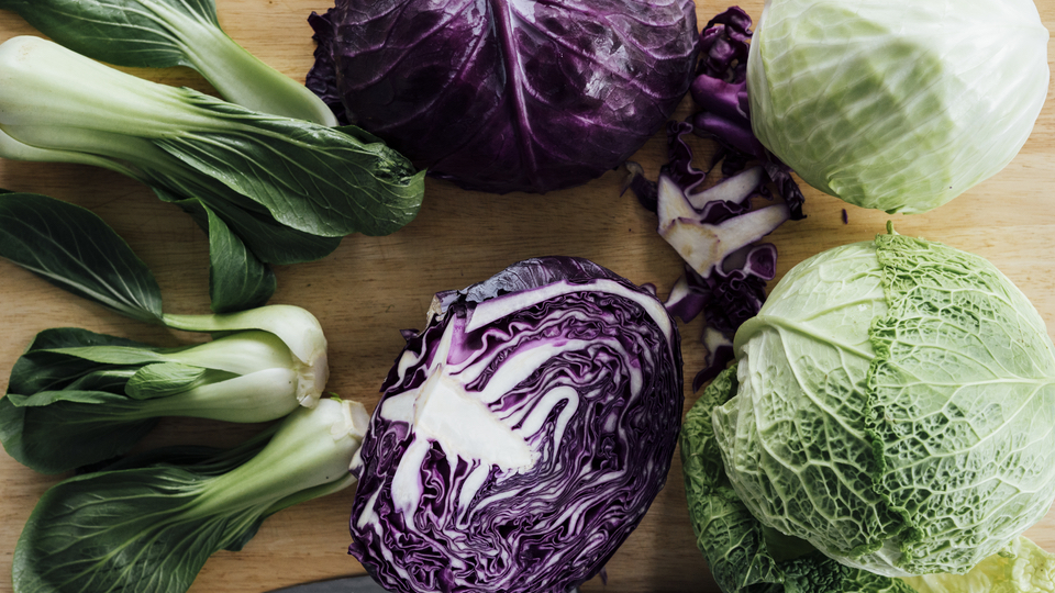 Detail Pictures Of Different Types Of Cabbage Nomer 40