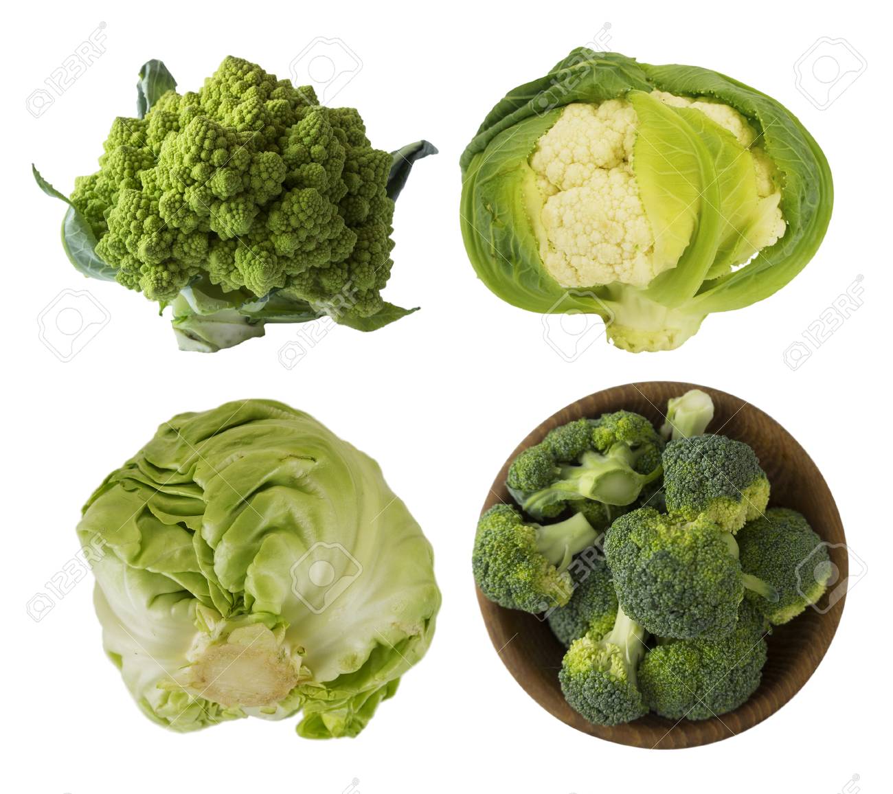 Detail Pictures Of Different Types Of Cabbage Nomer 43