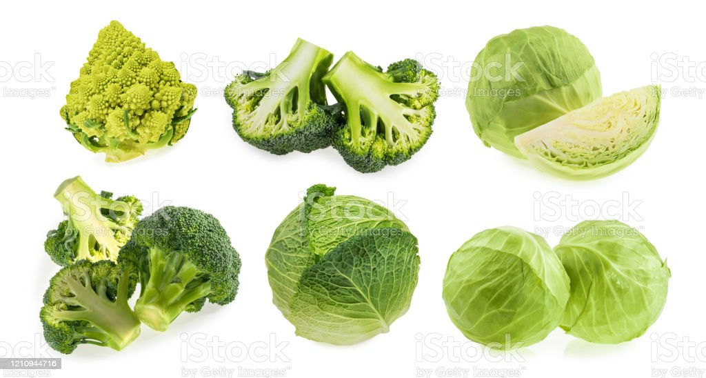 Detail Pictures Of Different Types Of Cabbage Nomer 46