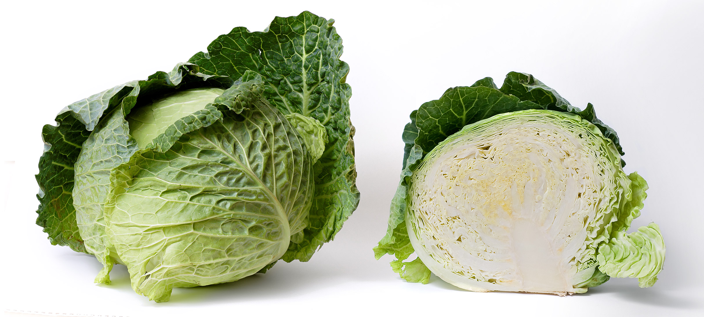 Detail Pictures Of Different Types Of Cabbage Nomer 47