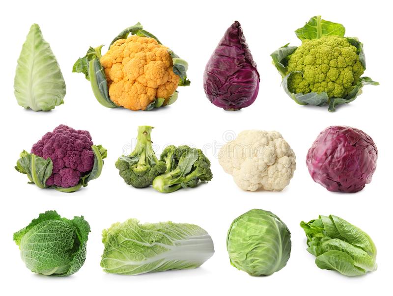 Detail Pictures Of Different Types Of Cabbage Nomer 8