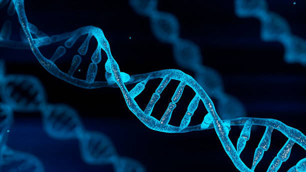 Detail Pictures Of Dna Strands Nomer 13