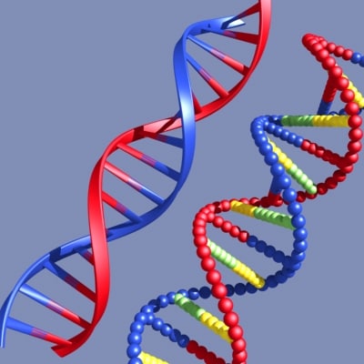 Detail Pictures Of Dna Strands Nomer 10