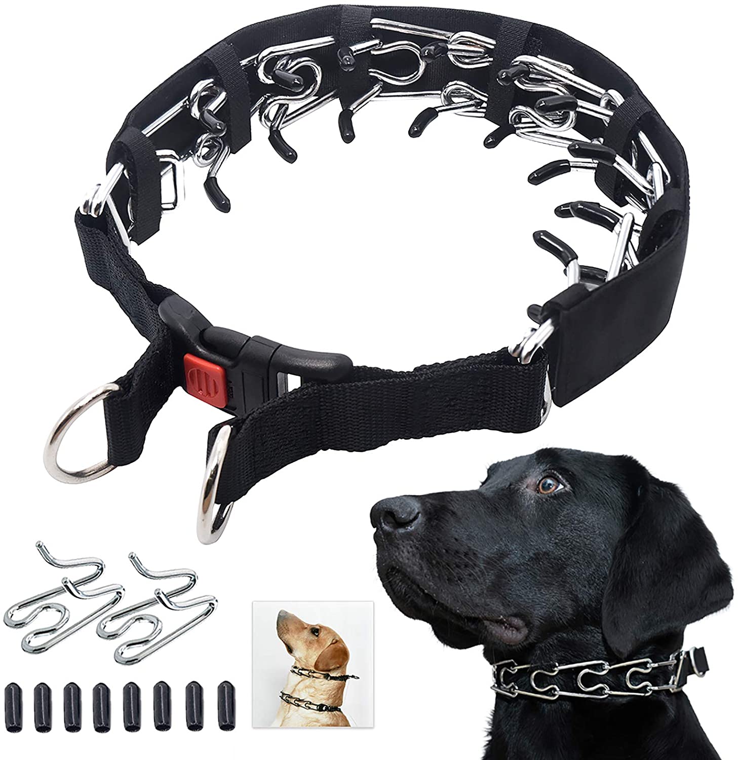 Detail Pictures Of Dog Collars Nomer 20