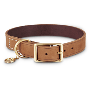 Detail Pictures Of Dog Collars Nomer 27