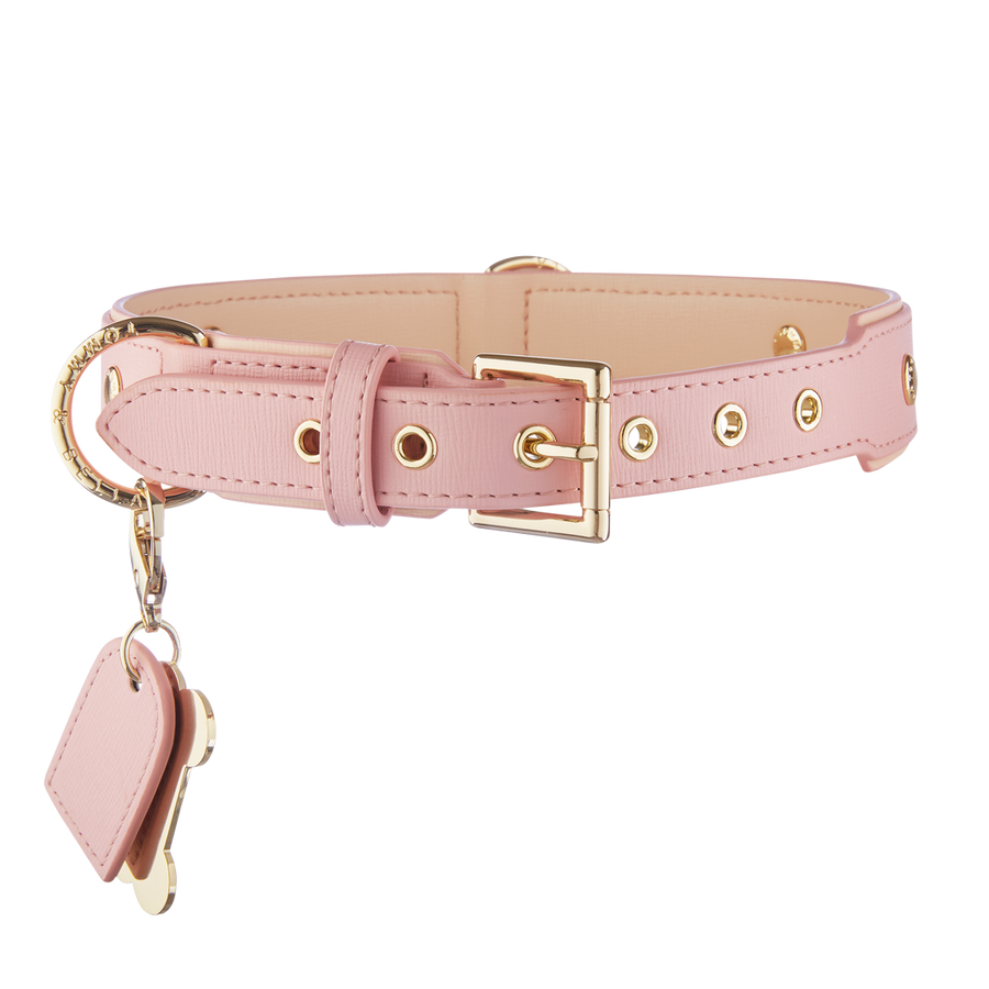 Detail Pictures Of Dog Collars Nomer 44