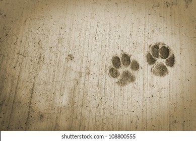 Detail Pictures Of Dog Footprints Nomer 31