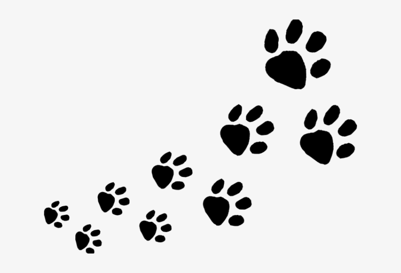 Detail Pictures Of Dog Footprints Nomer 7