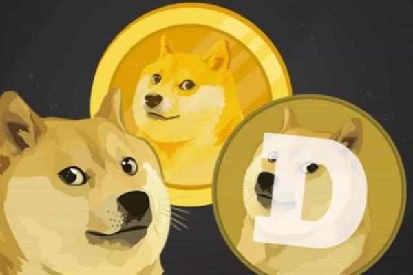 Detail Pictures Of Doge Nomer 25