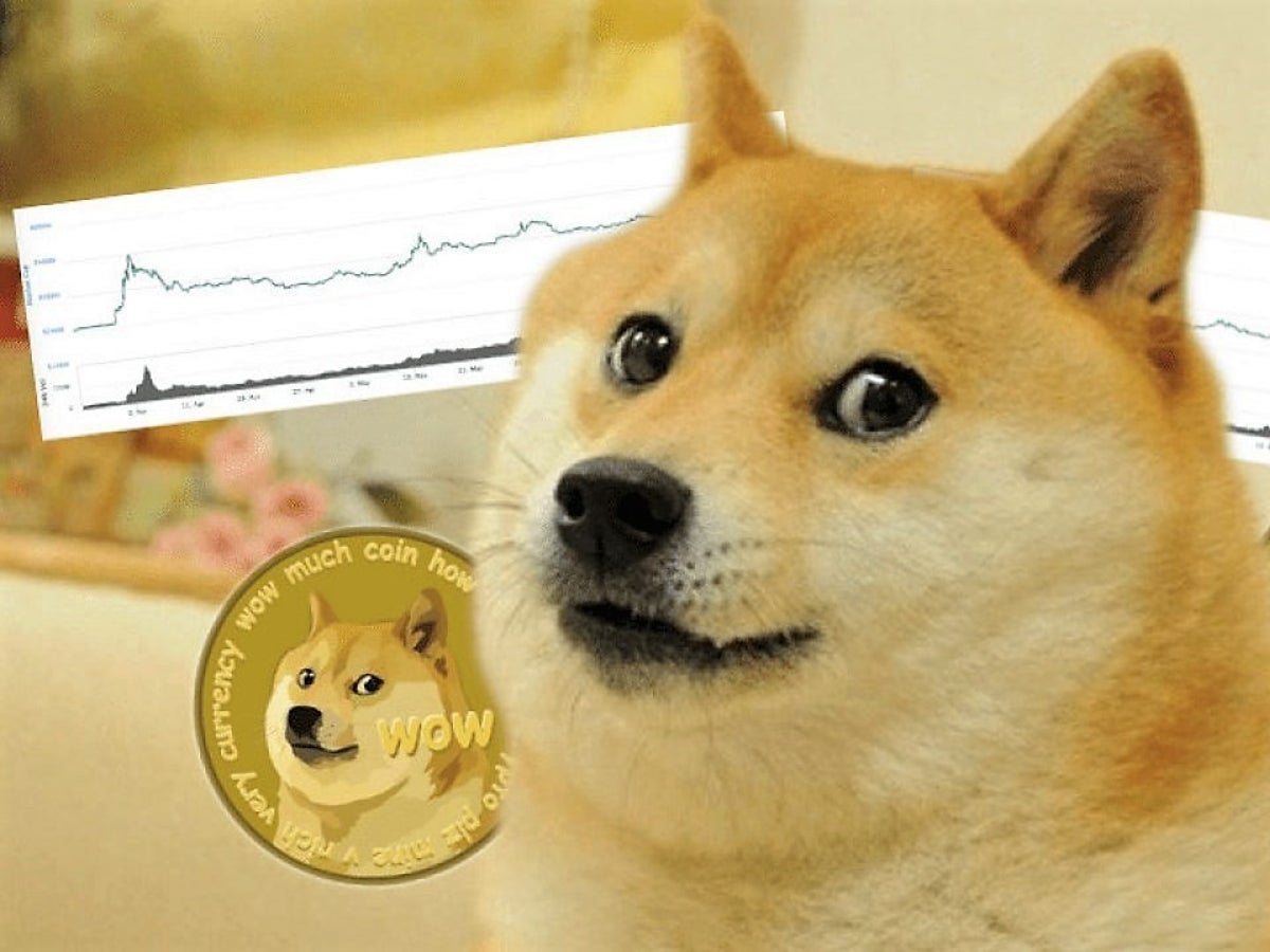 Detail Pictures Of Doge Nomer 34