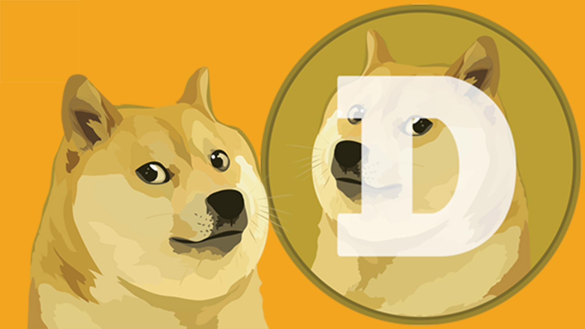 Detail Pictures Of Doge Nomer 9