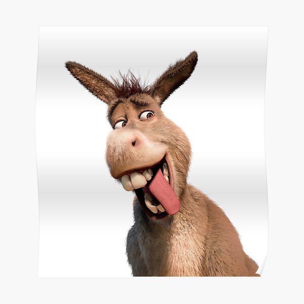 Detail Pictures Of Donkey From Shrek Nomer 10