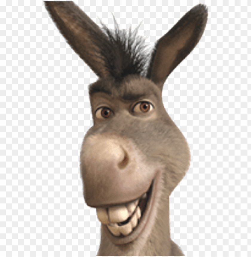 Detail Pictures Of Donkey From Shrek Nomer 13