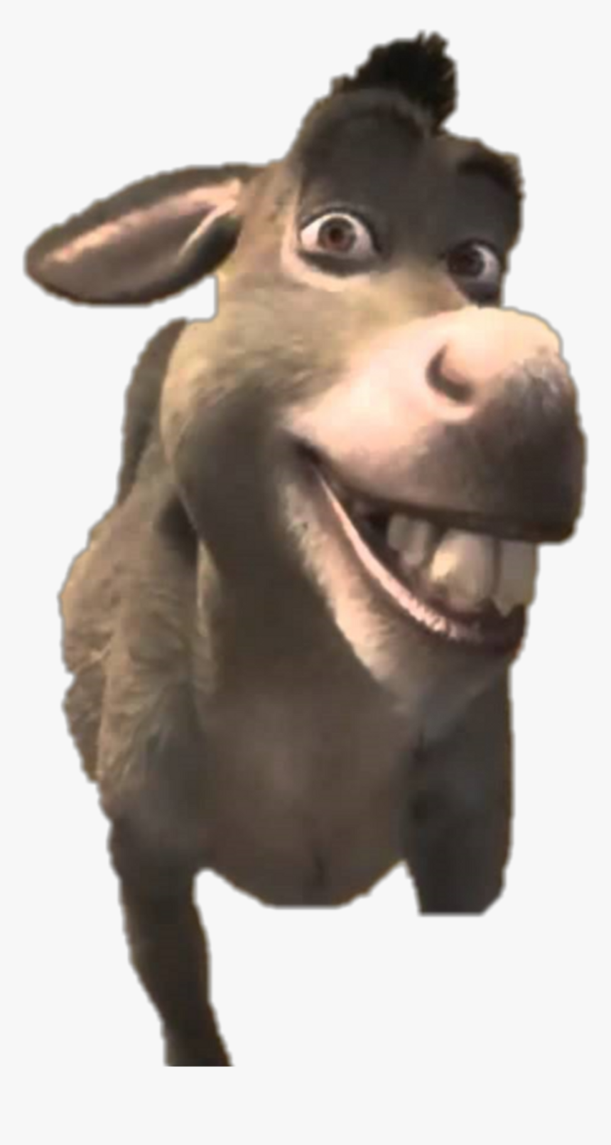 Detail Pictures Of Donkey From Shrek Nomer 17