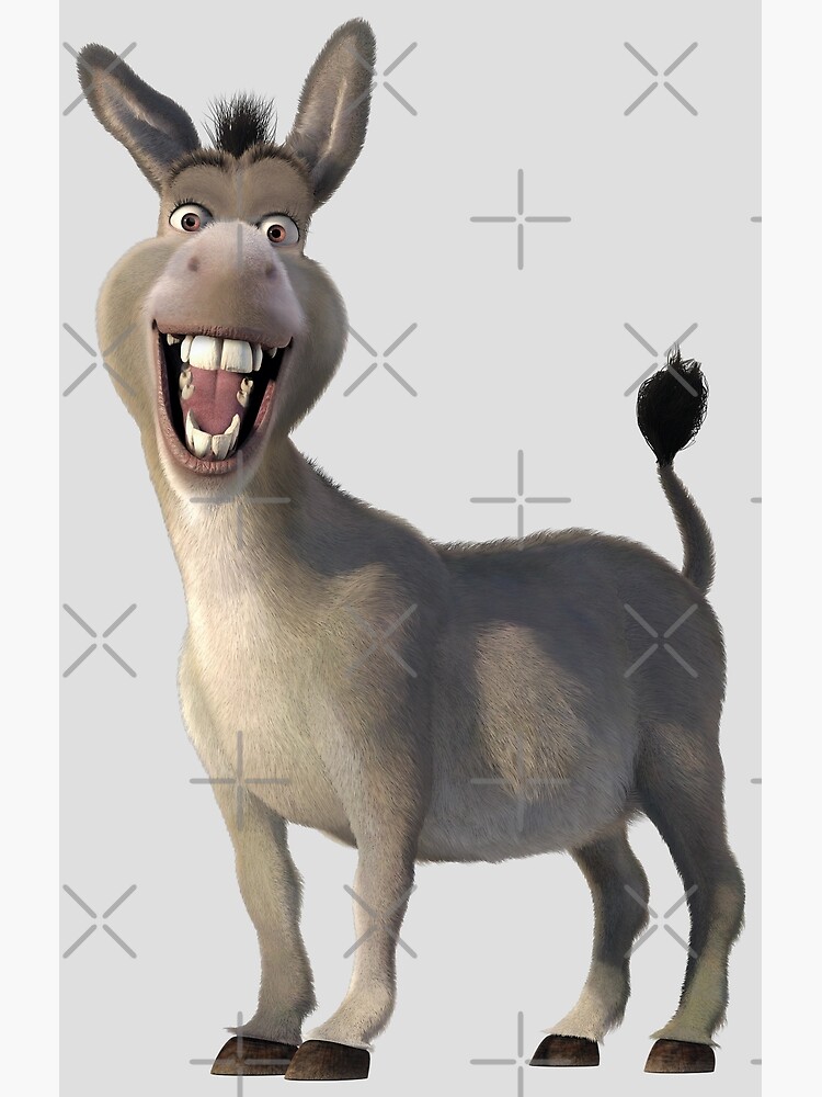 Download Pictures Of Donkey From Shrek Nomer 6
