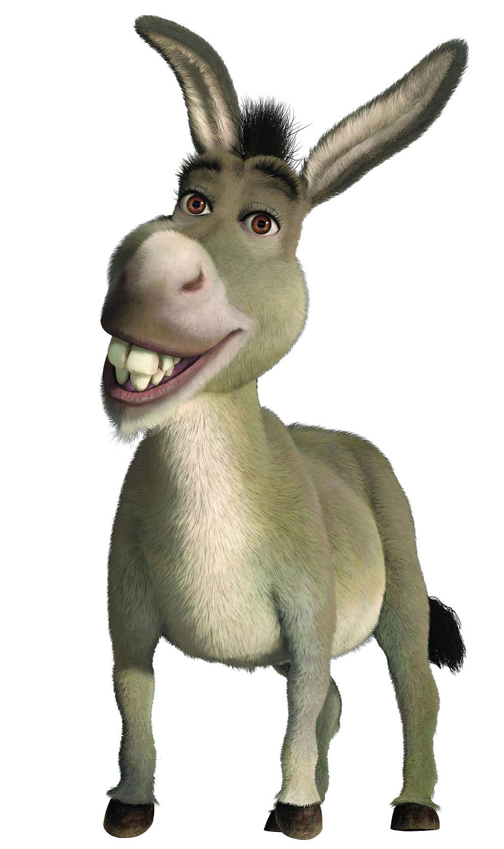 Detail Pictures Of Donkey From Shrek Nomer 7