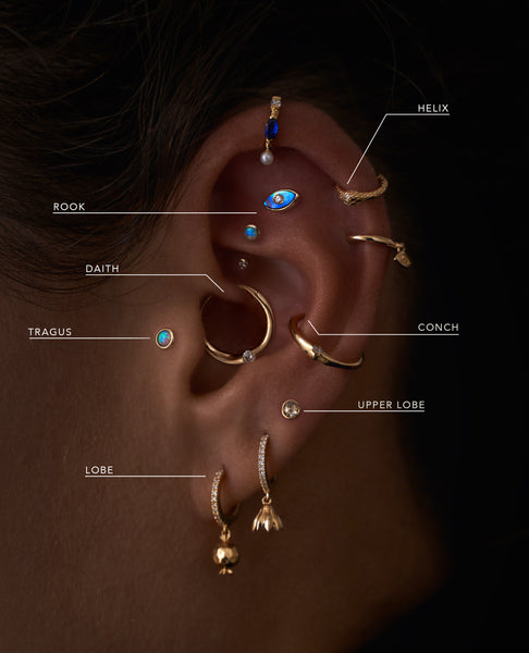 Pictures Of Ear Piercings - KibrisPDR