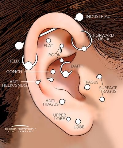 Detail Pictures Of Ear Piercings Nomer 6