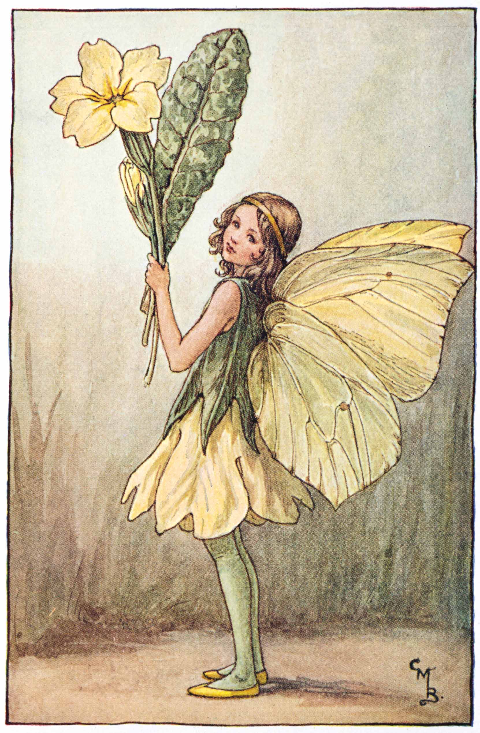 Detail Pictures Of Fairy Nomer 10