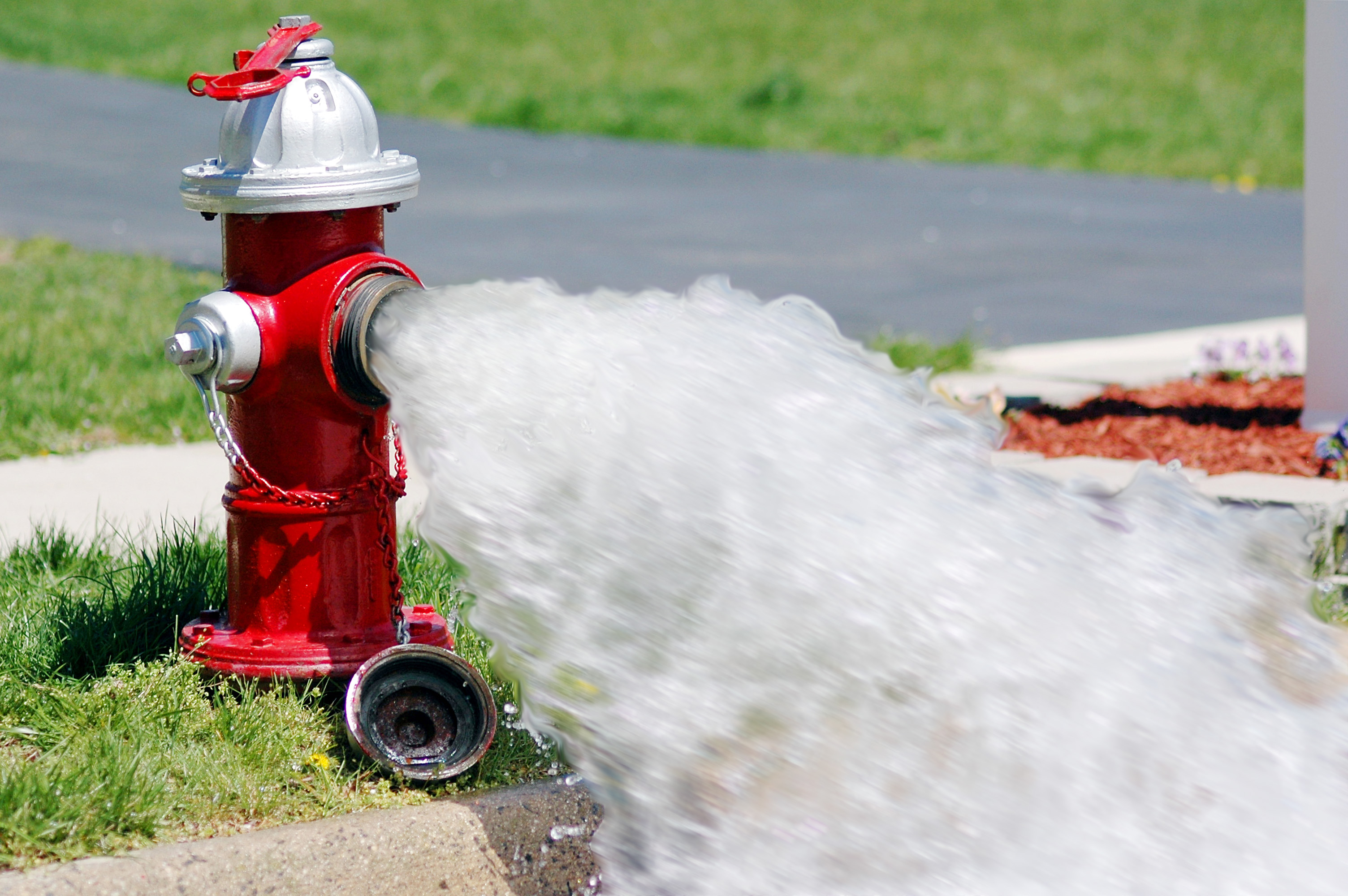 Detail Pictures Of Fire Hydrants Nomer 10