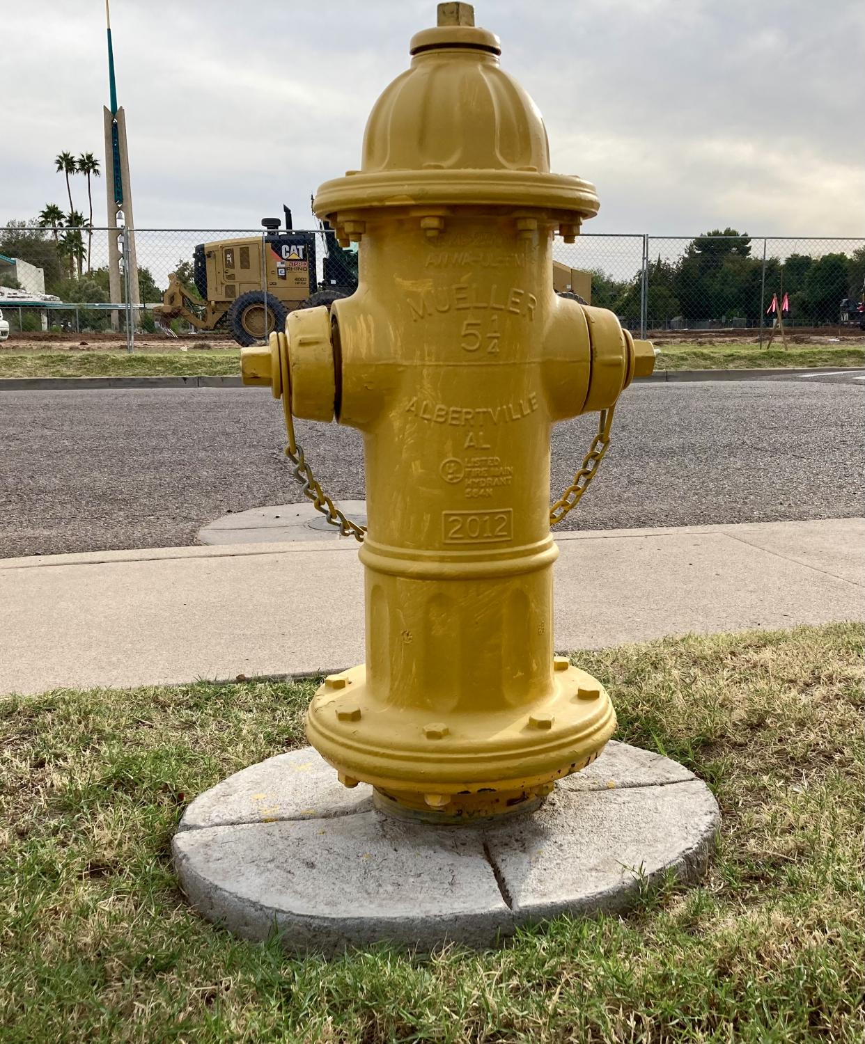 Detail Pictures Of Fire Hydrants Nomer 17