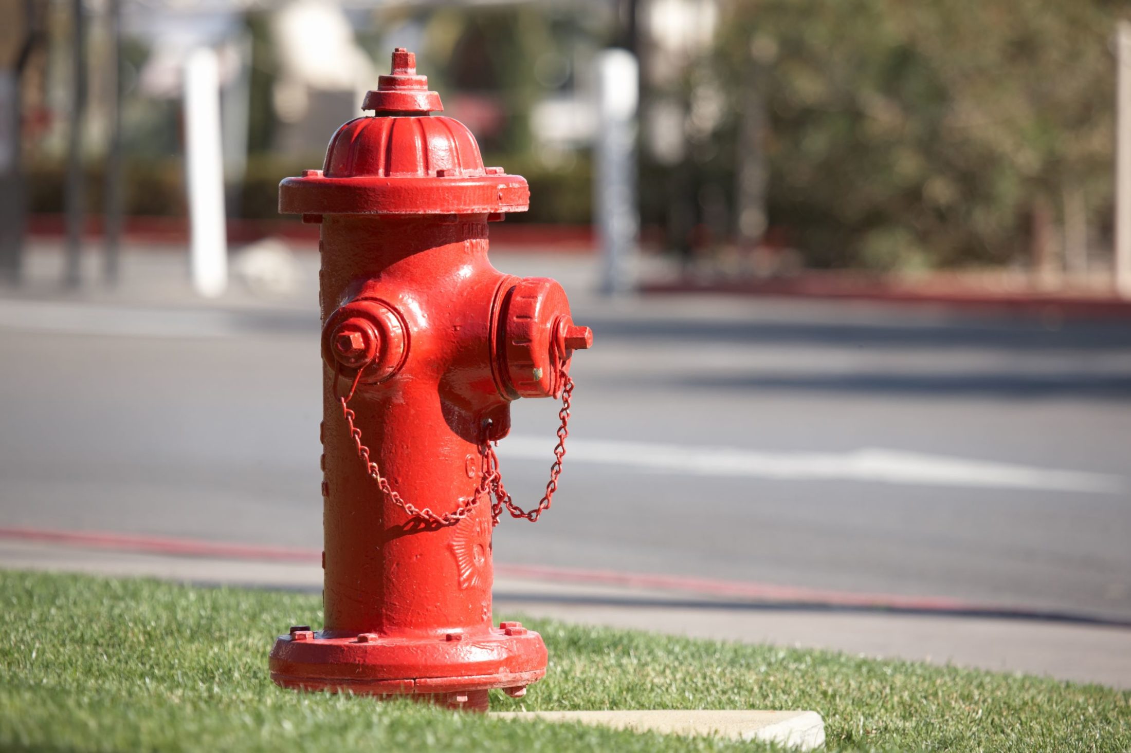 Detail Pictures Of Fire Hydrants Nomer 2