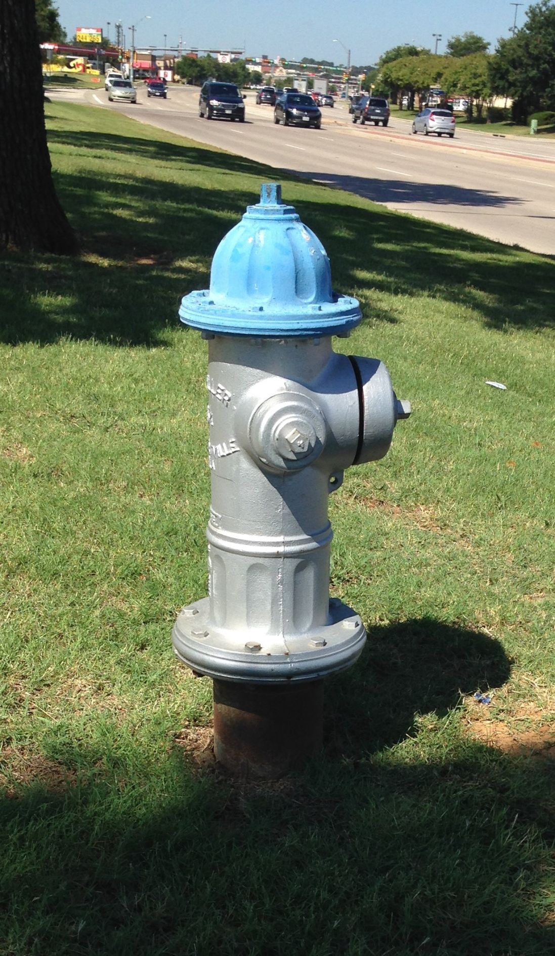 Detail Pictures Of Fire Hydrants Nomer 24