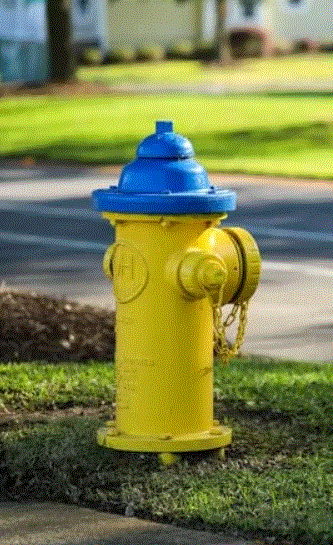 Detail Pictures Of Fire Hydrants Nomer 35
