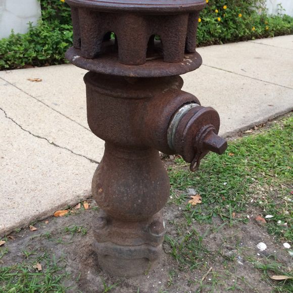 Detail Pictures Of Fire Hydrants Nomer 45
