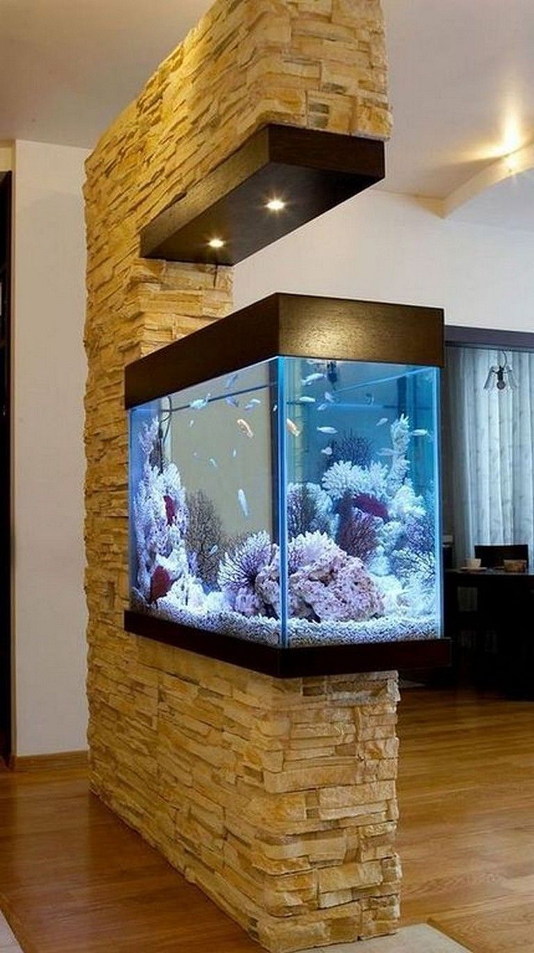 Detail Pictures Of Fish Tanks Nomer 21