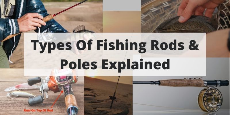 Detail Pictures Of Fishing Poles Nomer 33