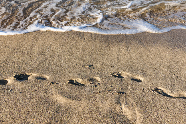 Detail Pictures Of Footprints In The Sand Nomer 12