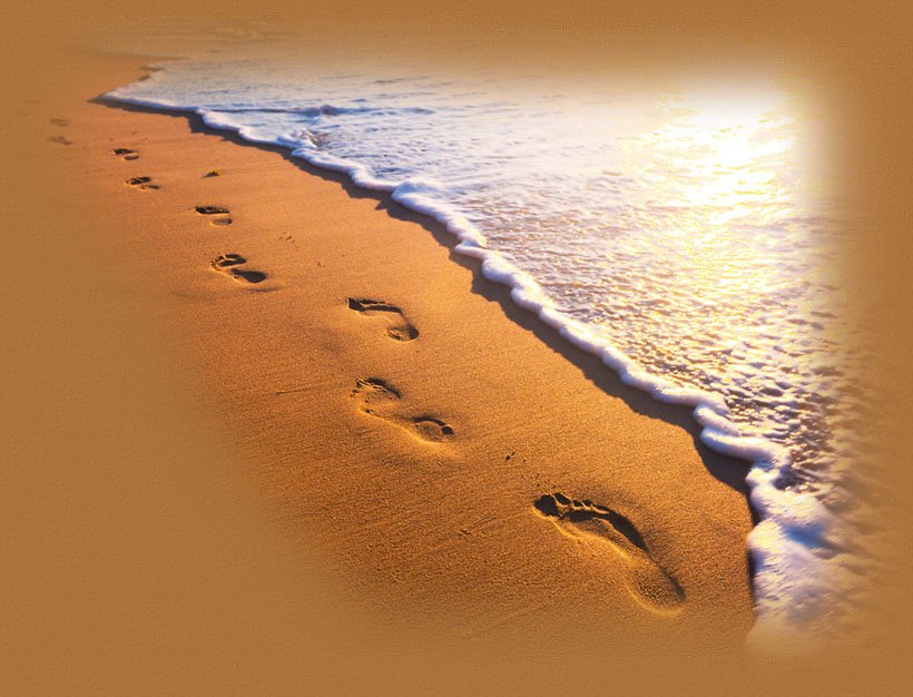 Detail Pictures Of Footprints In The Sand Nomer 17