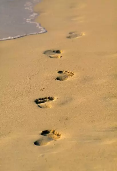 Detail Pictures Of Footprints In The Sand Nomer 21