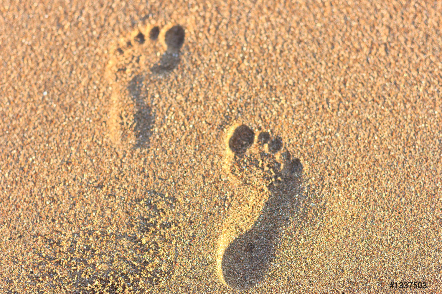 Detail Pictures Of Footprints In The Sand Nomer 29