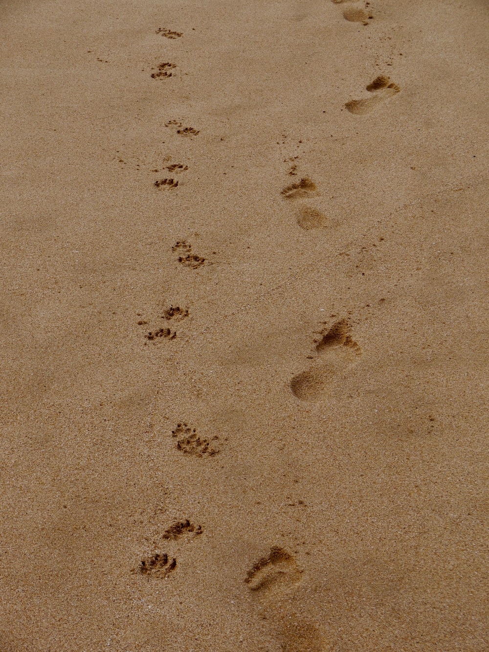 Detail Pictures Of Footprints In The Sand Nomer 30