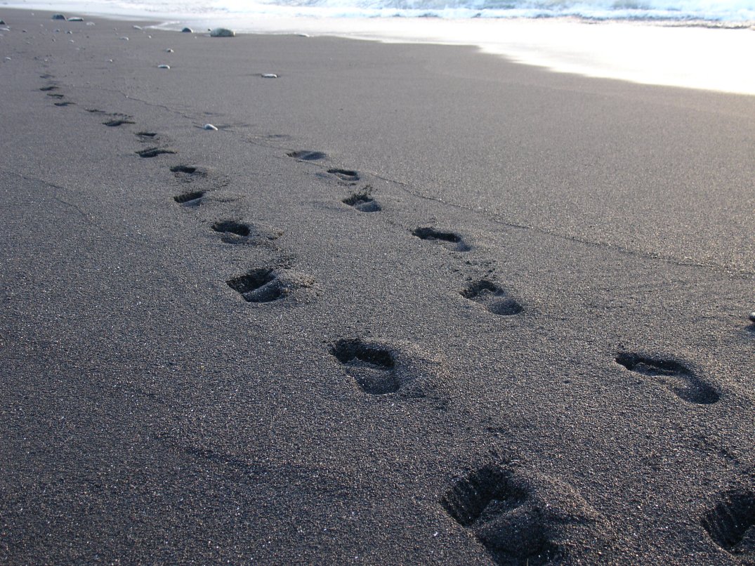 Detail Pictures Of Footprints In The Sand Nomer 32