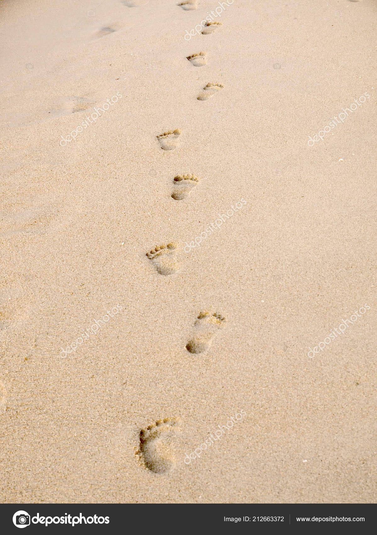 Detail Pictures Of Footprints In The Sand Nomer 33