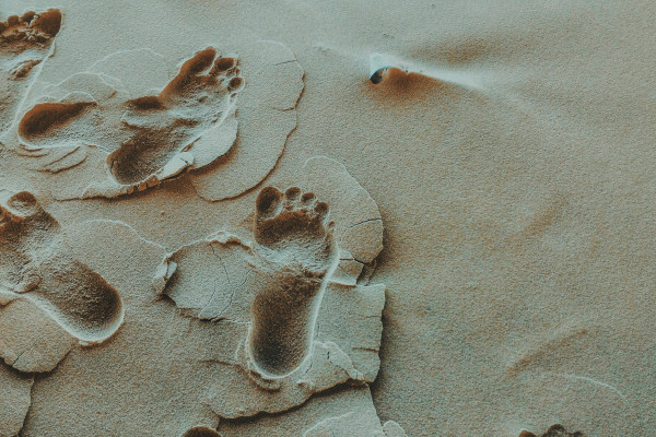 Detail Pictures Of Footprints In The Sand Nomer 48