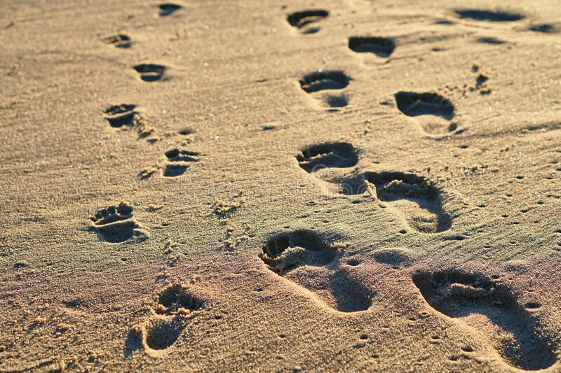 Detail Pictures Of Footprints In The Sand Nomer 8