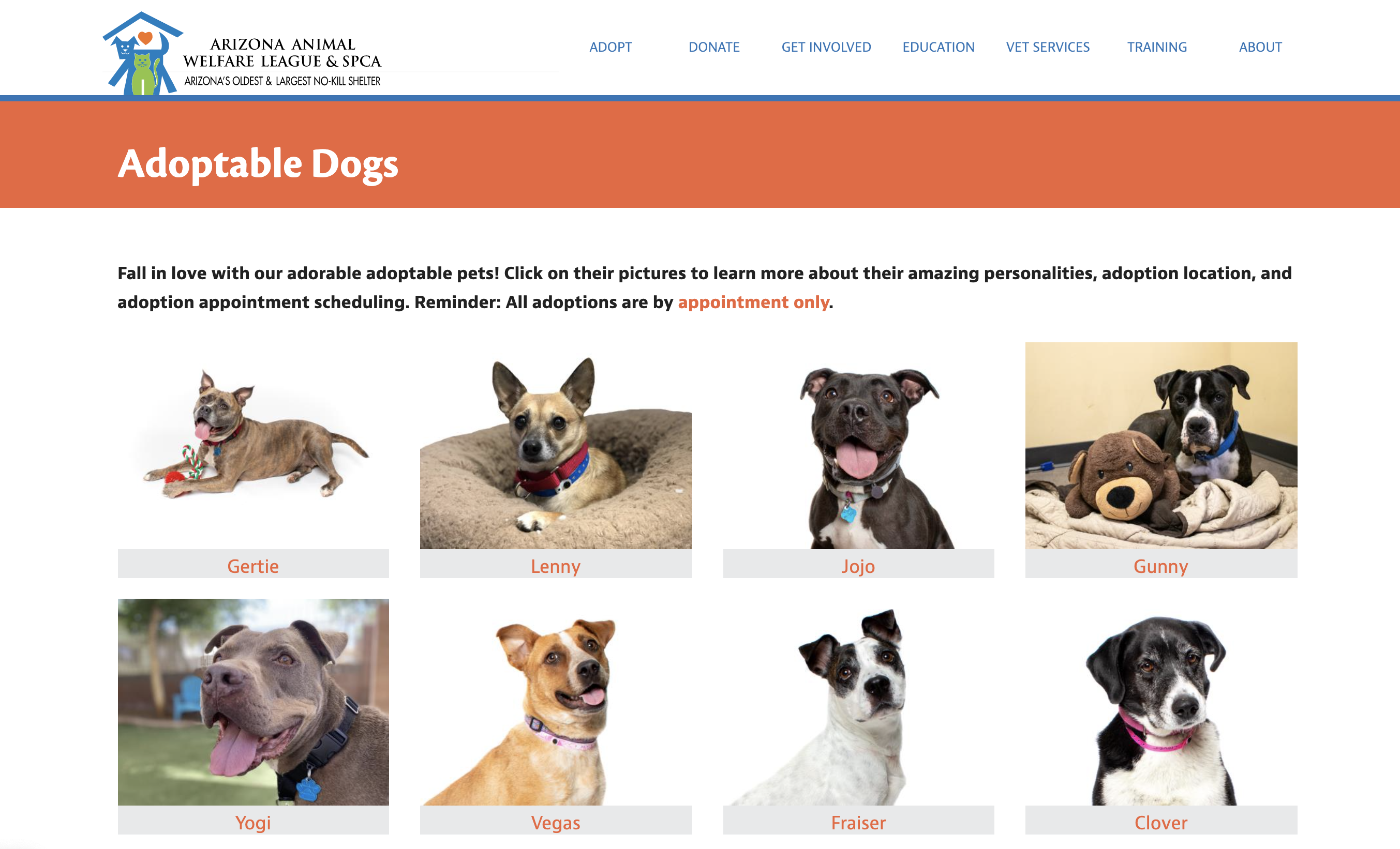 Detail Pictures Of Free Dogs Nomer 35