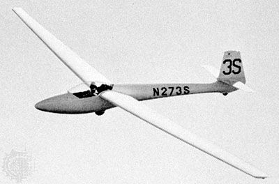 Detail Pictures Of Gliders Nomer 23